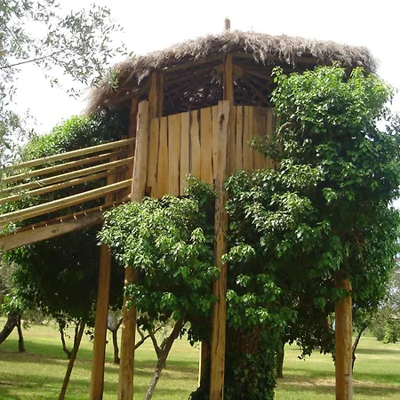 Il Vignone * Castagneto Carducci